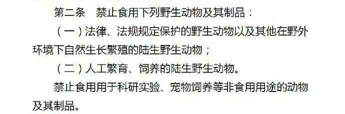 我國首個禁食貓狗的法案通過了！深圳，你真棒！ 寵物 第3張