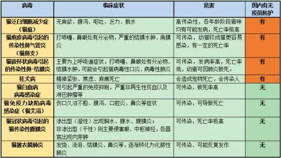 打個疫苗都被坑？關於給貓打疫苗的常識都在這了，看完別再被騙了！ 萌寵 第6張