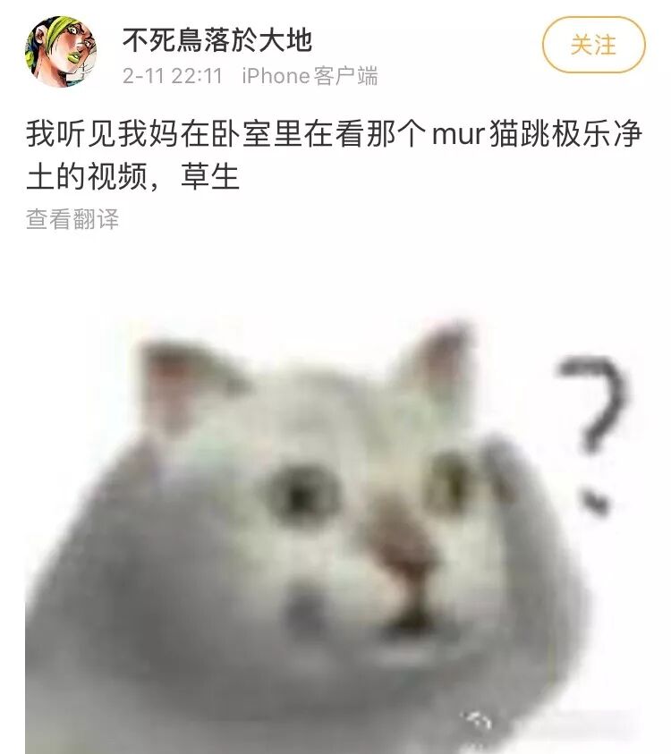 奇怪的姿势增加了 这只突然占据全网表情包的沙雕猫 竟然是 猫与爱的世界 微信公众号文章阅读 Wemp