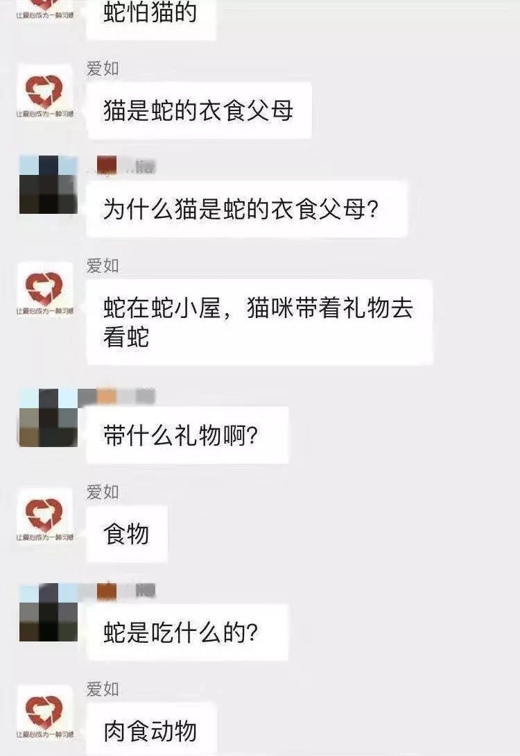 資深救助人被質疑：領養流浪貓狗是為了喂蛇？！ 寵物 第20張