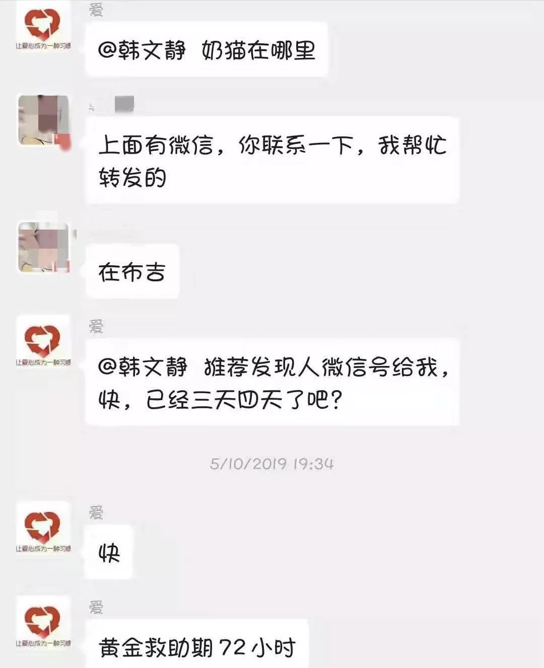 資深救助人被質疑：領養流浪貓狗是為了喂蛇？！ 寵物 第2張