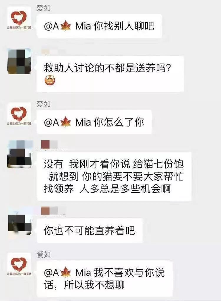 資深救助人被質疑：領養流浪貓狗是為了喂蛇？！ 寵物 第6張