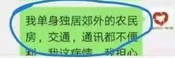 資深救助人被質疑：領養流浪貓狗是為了喂蛇？！ 寵物 第16張