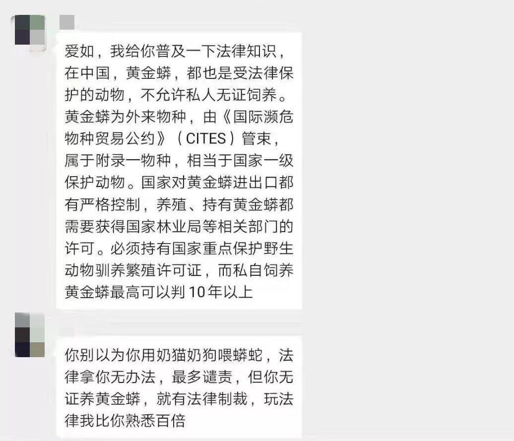 資深救助人被質疑：領養流浪貓狗是為了喂蛇？！ 寵物 第10張