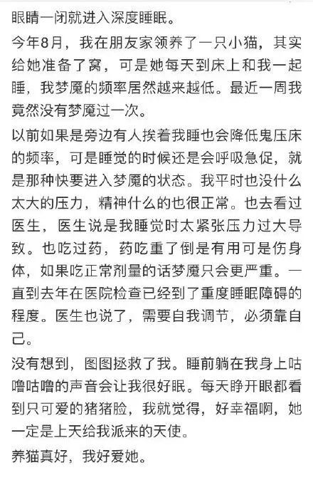 乖乖！ 原來小貓咪真的在夜晚偷偷保護著我！！！ 寵物 第4張