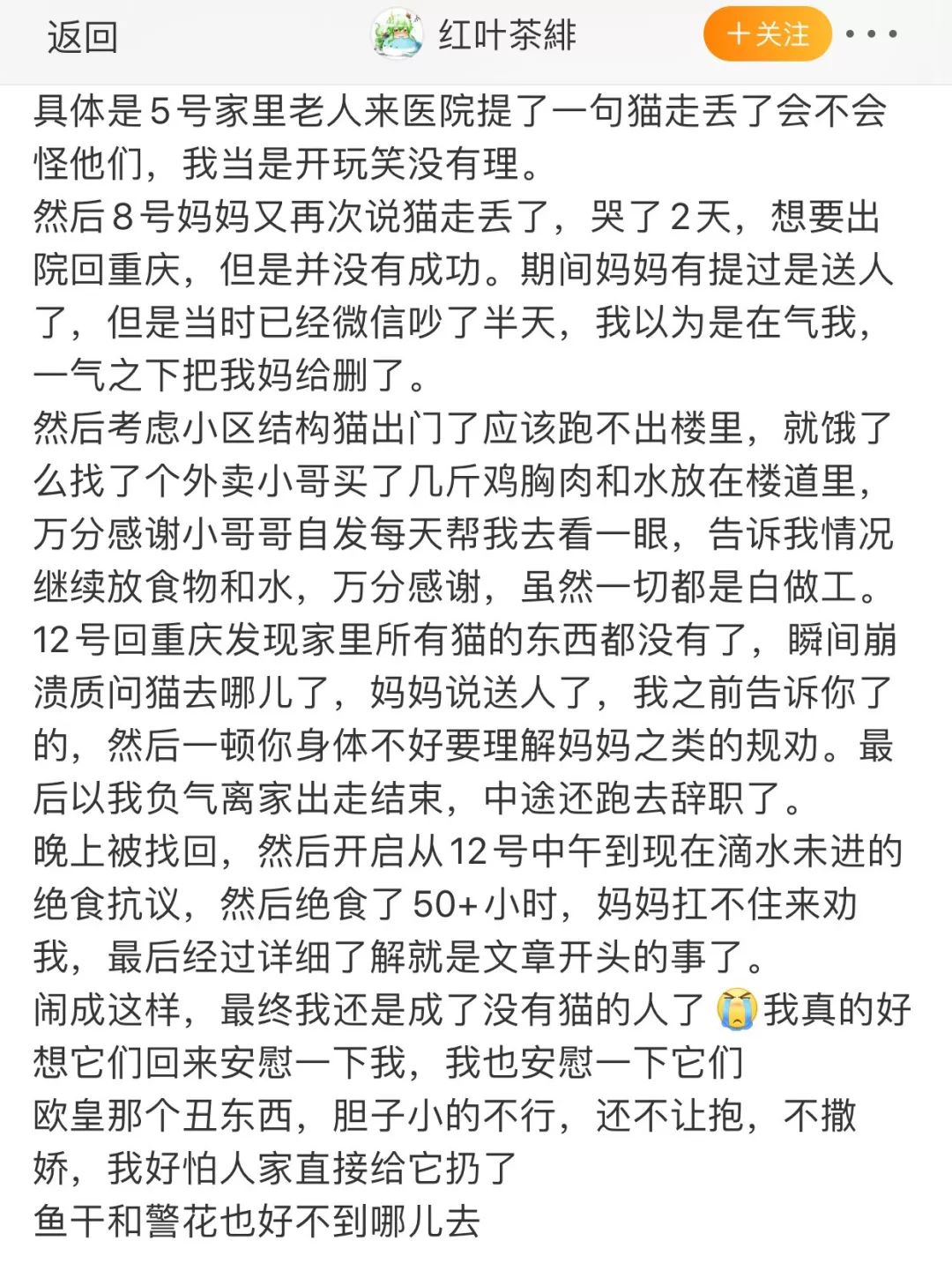 我媽趁我住院的時候，把我養了三年的貓丟掉了。 寵物 第7張