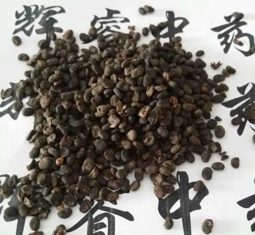 一味山草药：补骨脂的功效和作用
