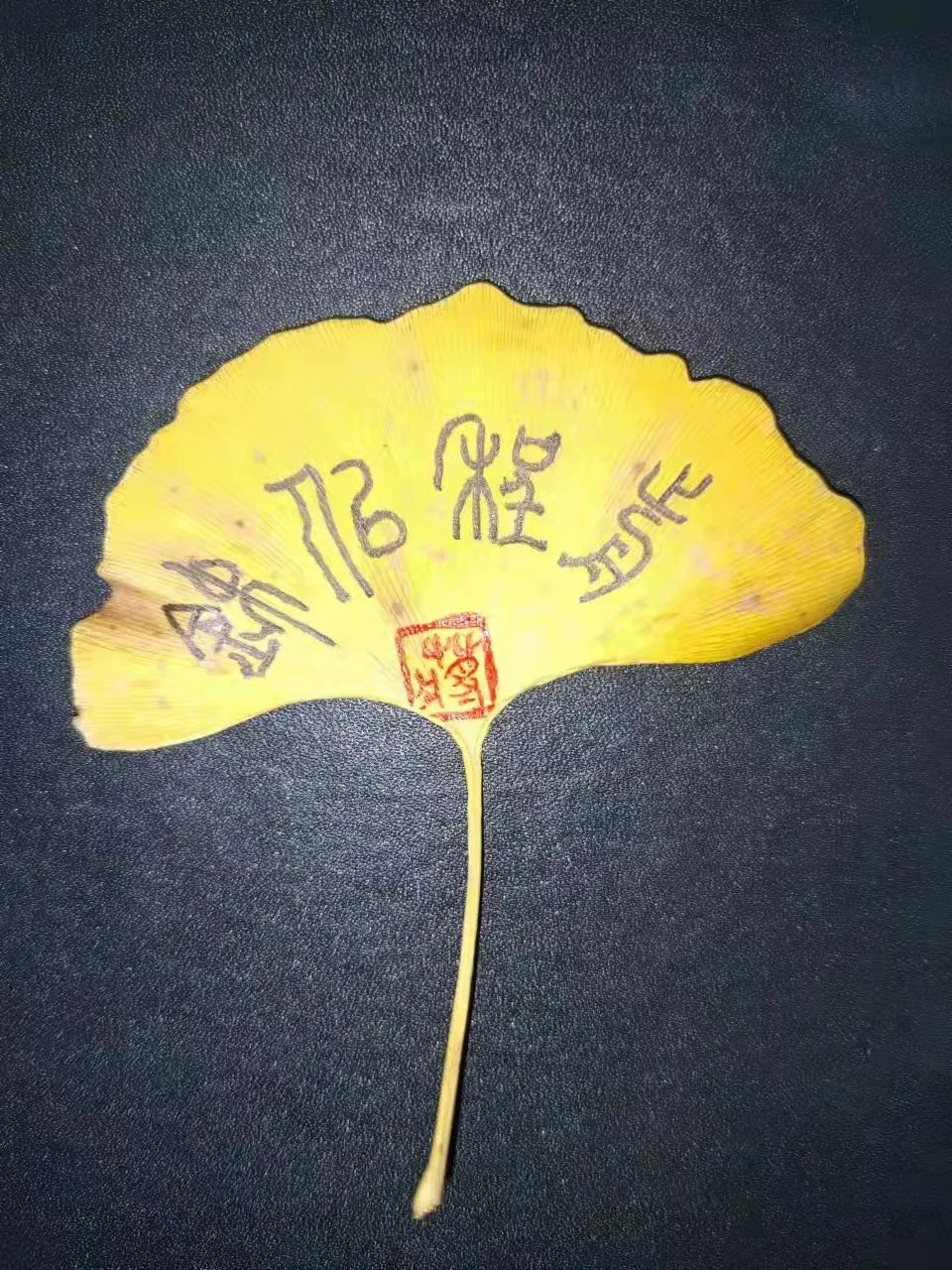 银杏叶上写字的图片图片