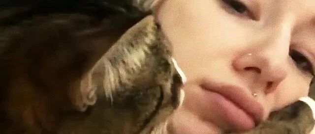 猫咪刚舔完屁屁，跑来要求亲亲，又不好拒绝，我要裂开了