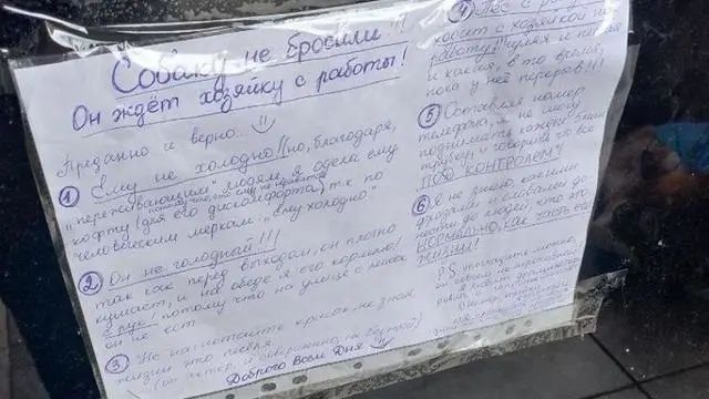 主人把哈士奇獨自晾在大街上，以為是遺棄，結果卻是在治病！ 寵物 第3張