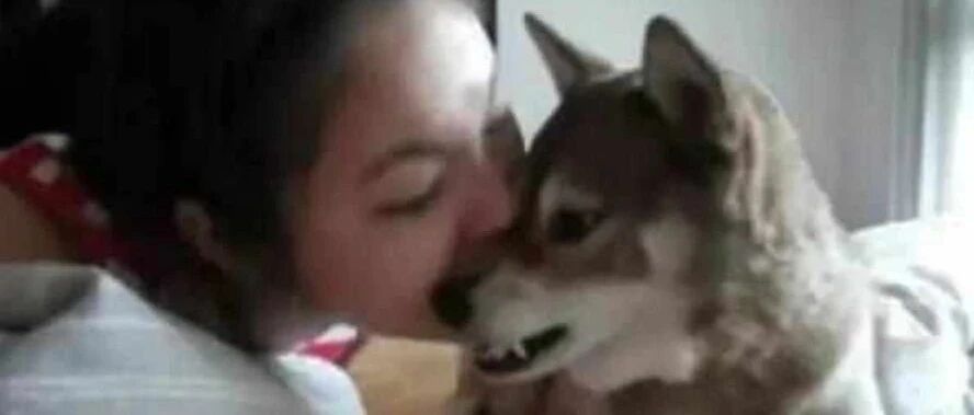 女主人张大嘴巴吓唬狗，狗狗翻脸直接上嘴，网友直言不作不死