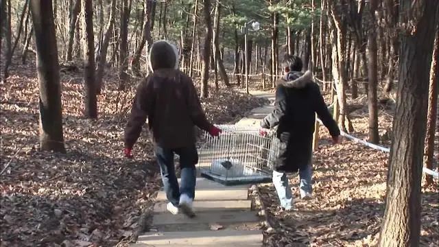 貓咪被遺棄在山裡，等待三個月不見主人回頭，終被好心人收養 寵物 第15張