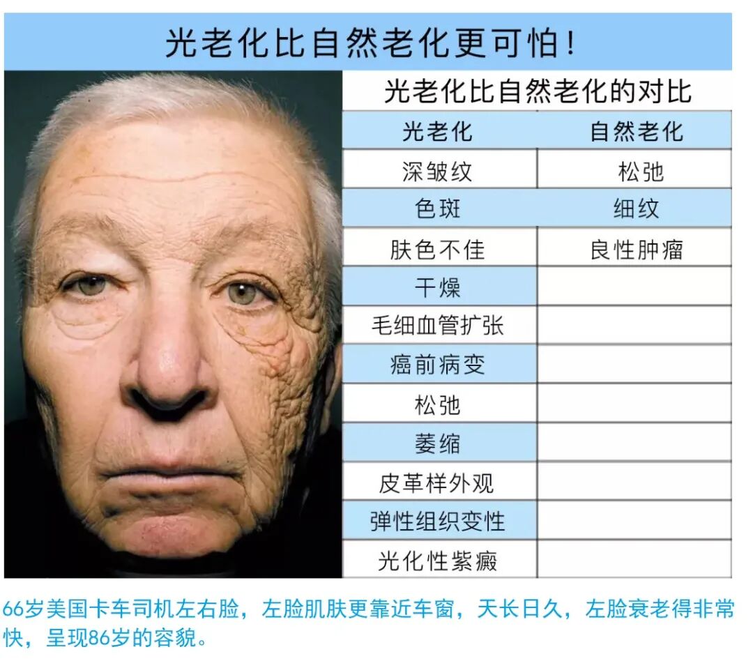 护肤品 颜 究手记09 光老化与防晒 全网搜