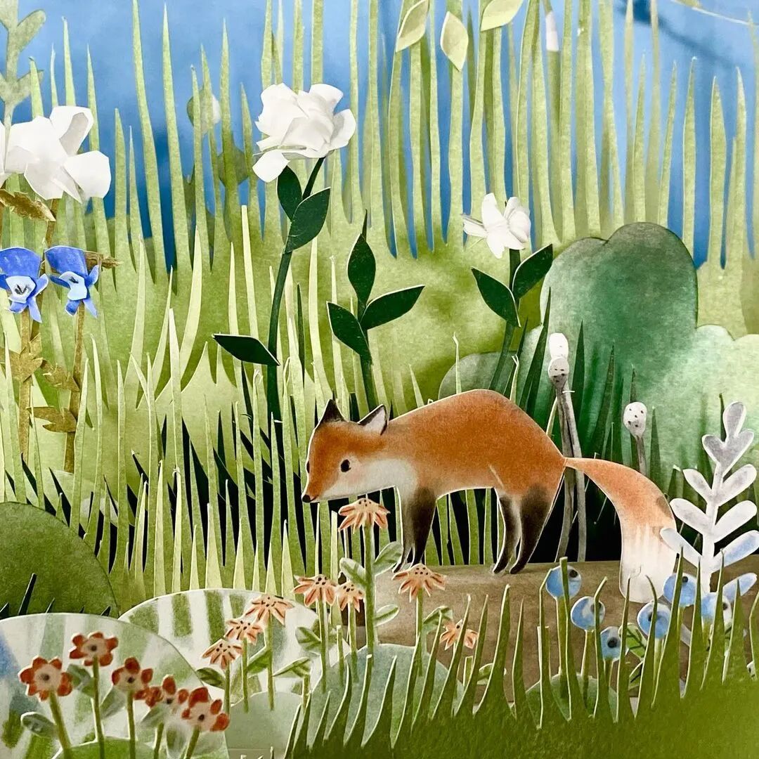 red fox literary // 绘本作者 / 现居加拿大 // 插画家 / 纸艺艺术家