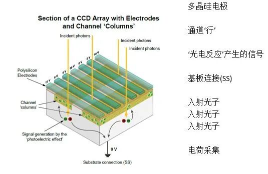圖解：50年前發明的CCD圖像傳感器工作原理的圖4