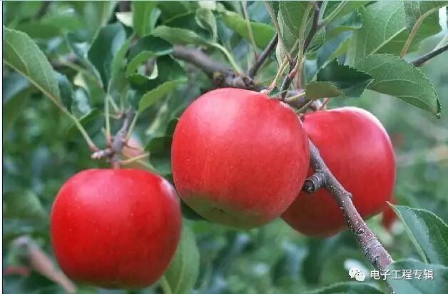 科普 | 普通人与硬件工程师如何正常交流？的图4