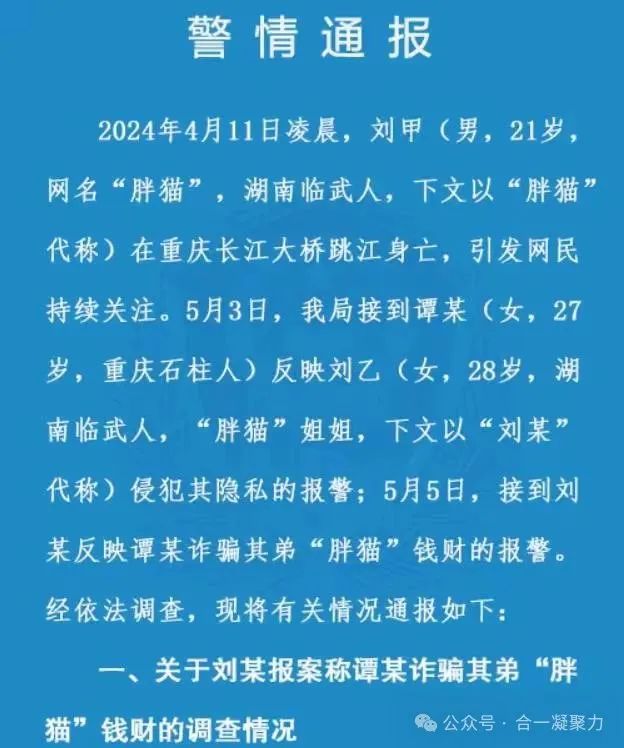 人民日报评胖猫事件真相大白