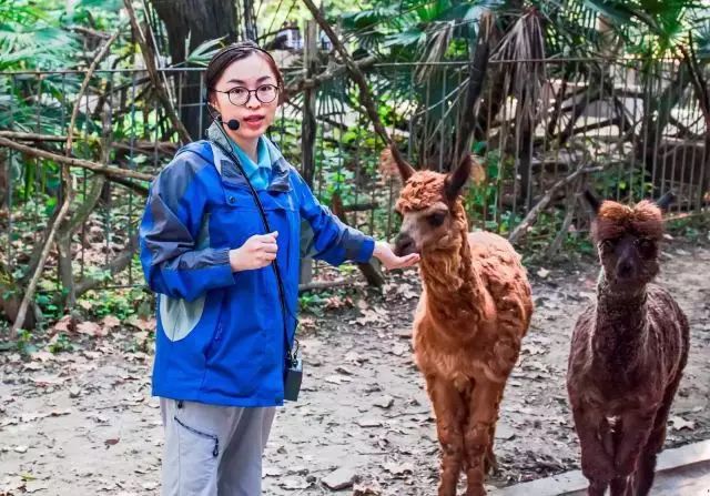 換種方式漲姿勢,來嚐嚐上海動物園飼養員為你加的科普大餐吧!