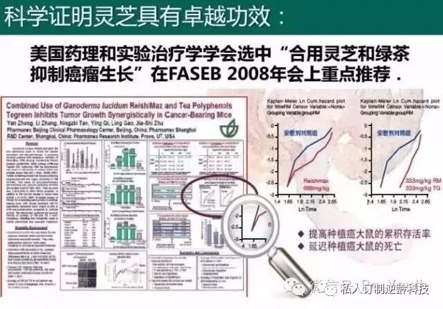 当灵芝遇上绿茶 癌细胞正在慢慢离去 减脂增肌瘦工厂 微信公众号文章阅读 Wemp
