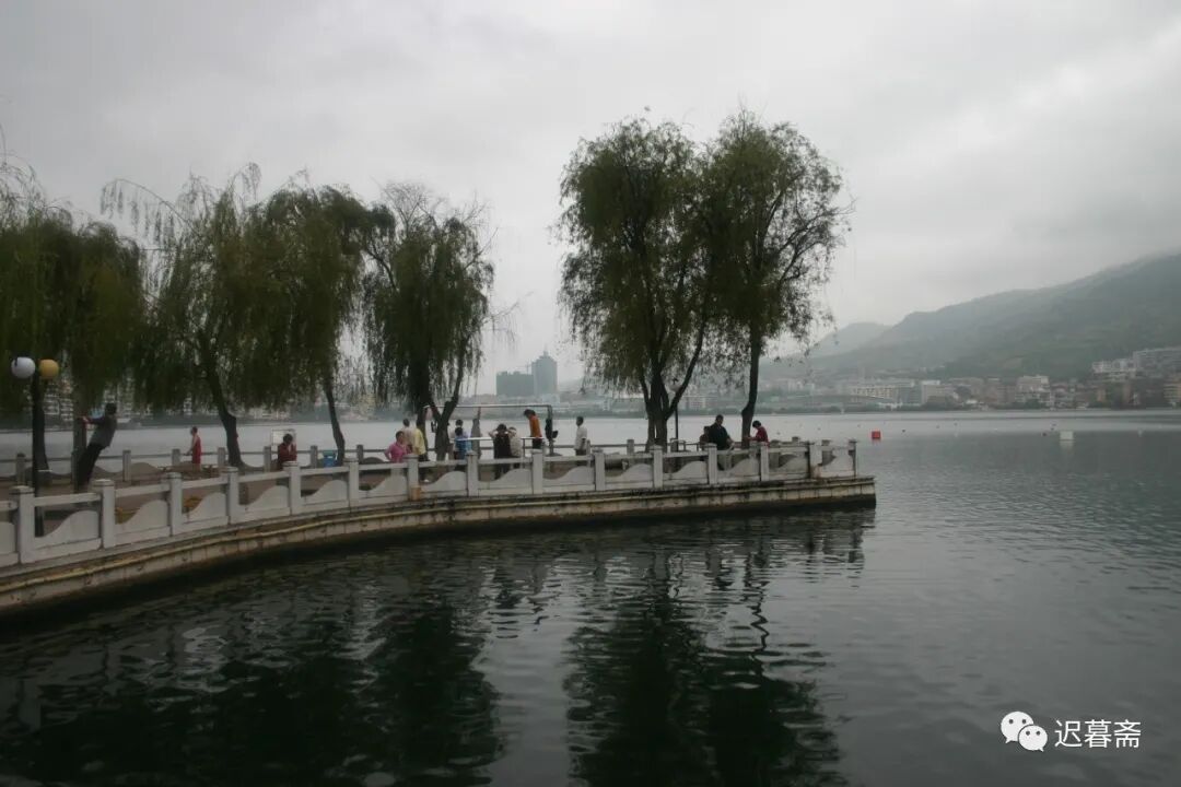 边陲日记---黄鼠狼专咬病鸭子