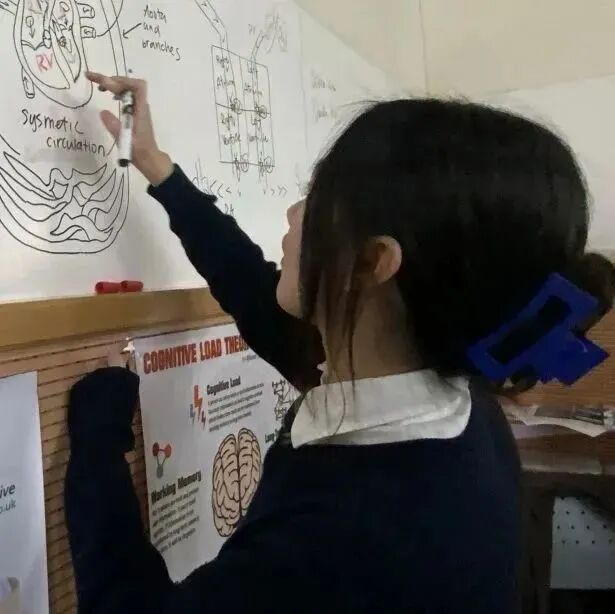 WeChat Image_20230416105025a.png