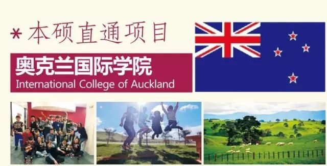 学到了（关键词排名报表）十大年度关键词，(图6)