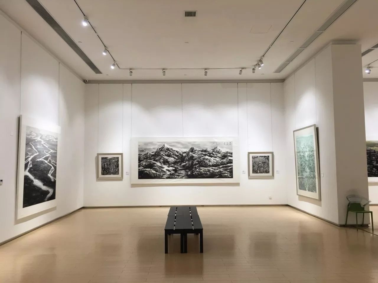 江山万里行·生命的颂歌——董继宁中国画作品展 在汤湖美术馆隆重