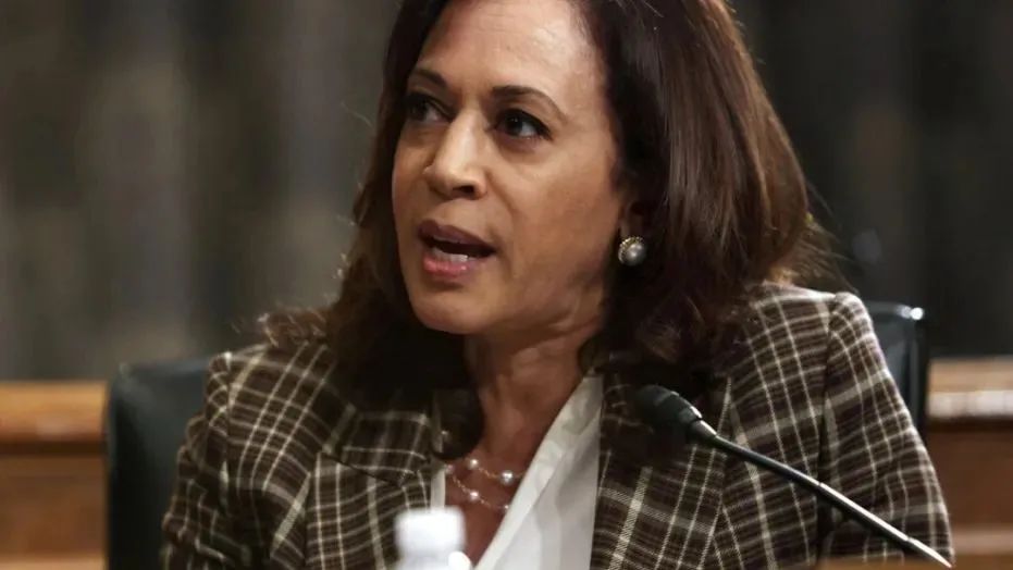 拜登的竞选搭档、首位亚非裔女副手能否助他赢得美国总统宝座?