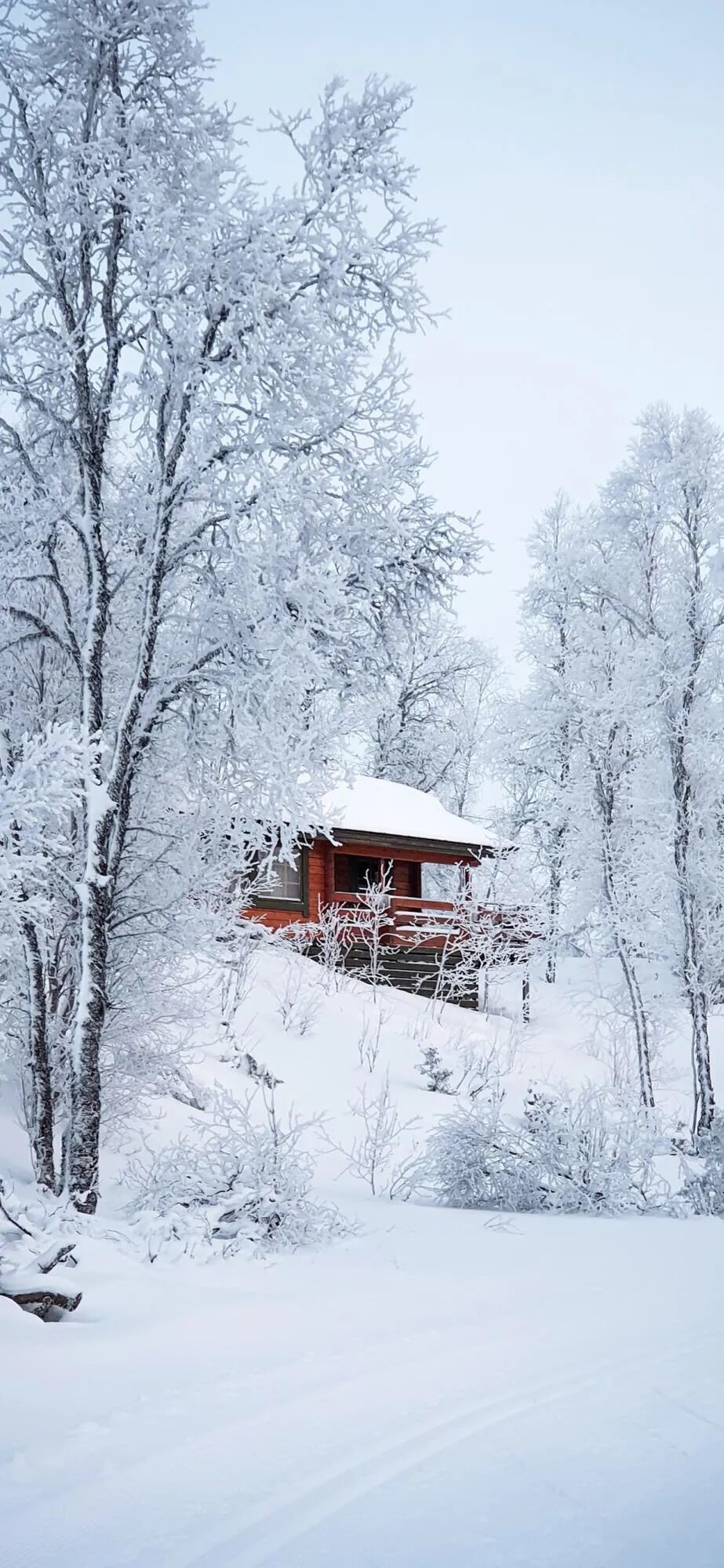 高清全面屏手机壁纸 美丽雪景壁纸 高清动漫壁纸 美女壁纸 风景壁纸 个性壁纸 全网搜