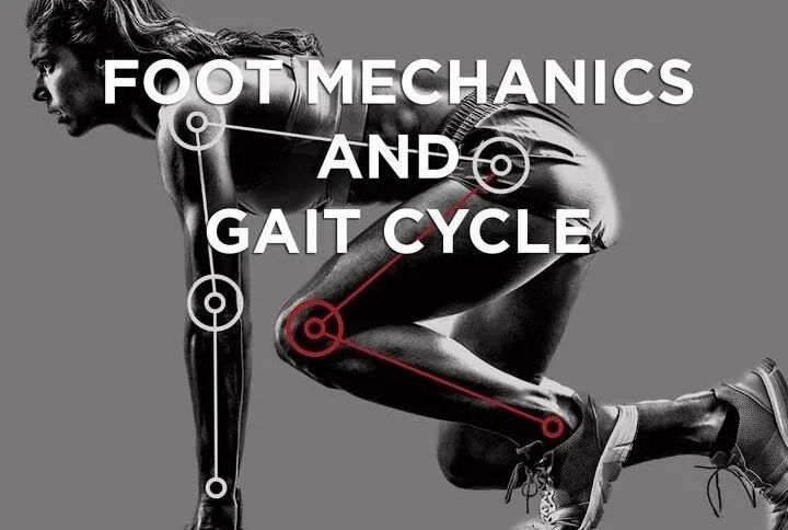 步态分析上曲线怎么解读「走路」是什么？ 物理治疗师教你如何分析人类的步态！_https://www.jmylbn.com_新闻资讯_第16张