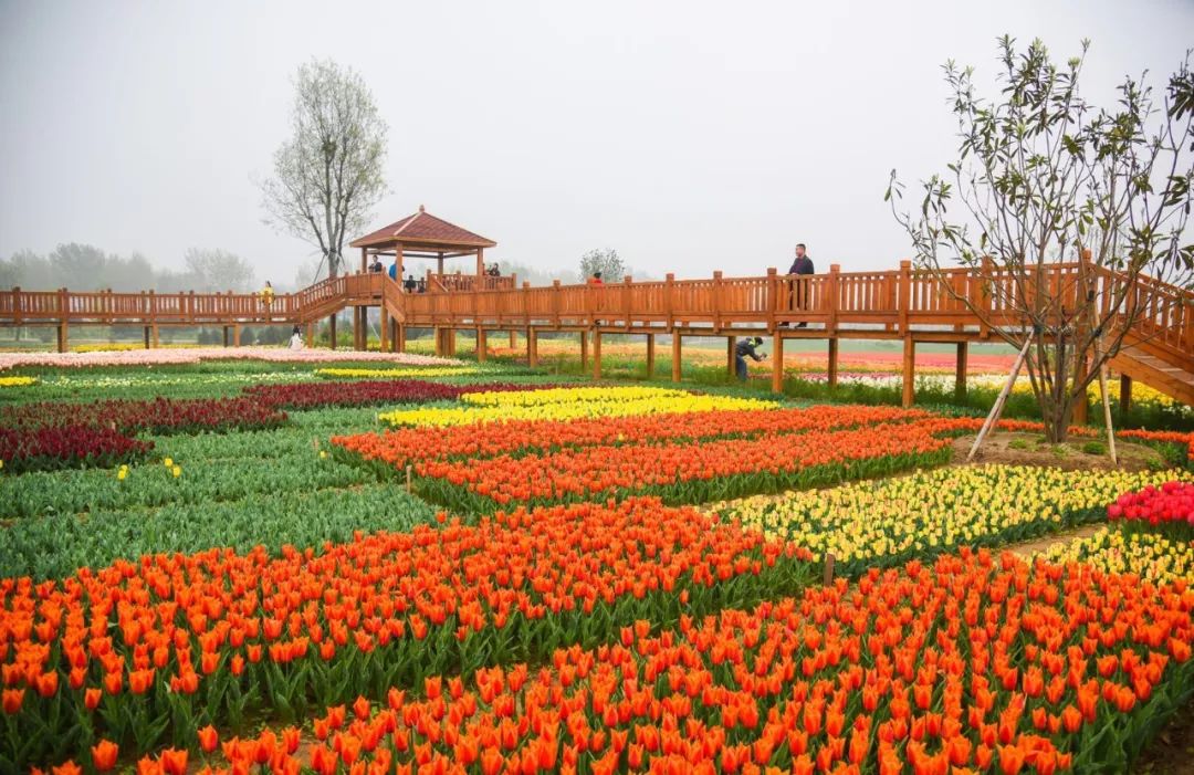 七彩大地旅游景区图片