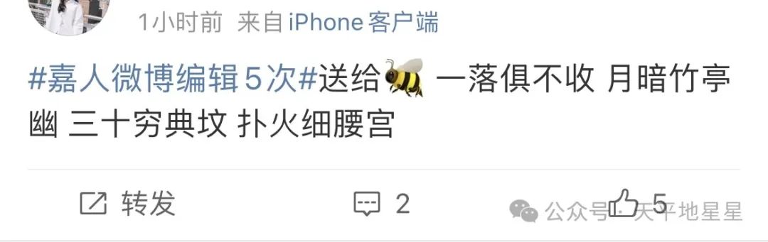 嘉人红毯 半天没人走