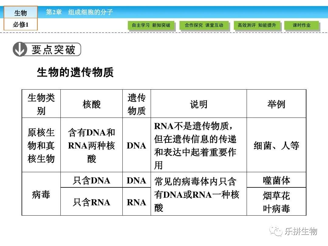 关于核酸和遗传物质的知识点 全网搜