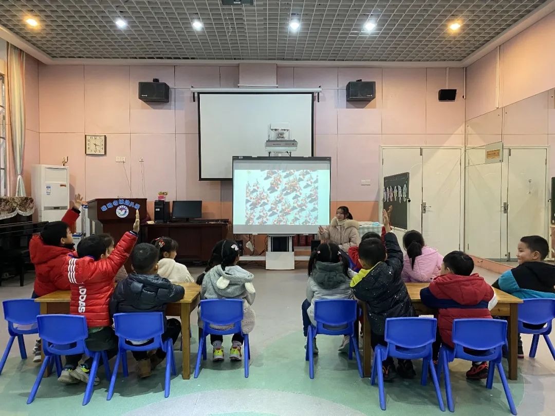 幼儿园小班实践课教案_幼儿园小班实习教案范文_幼儿园小班教学实践活动内容