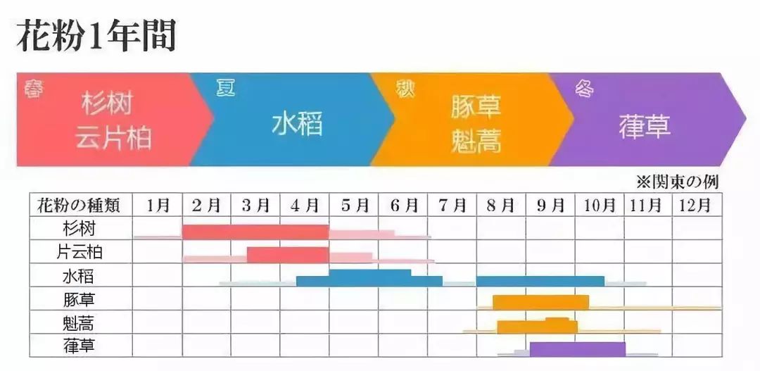 暖冬影响日本樱花前线受全面提前 日本花粉症如何防 东京爱家园 微信公众号文章阅读 Wemp