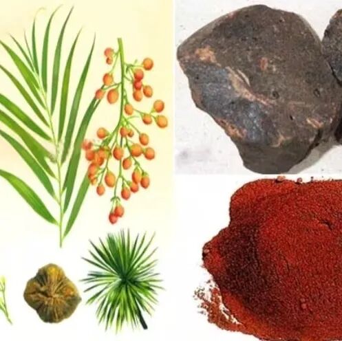 认识一味中药——【血竭】：活血定痛，化瘀止血，敛疮生肌