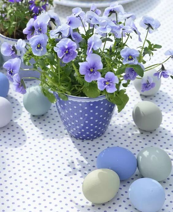 盘点那些清凉一夏的植物 在家养盆它电费不用花