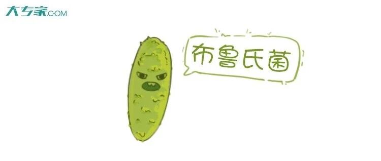 食品安全周——布鲁氏菌