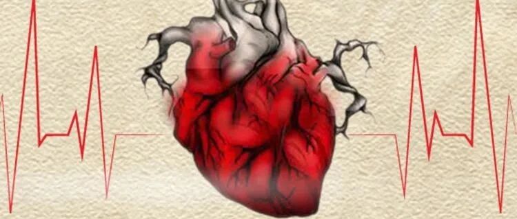 冬天才是心血管病的高发季节！