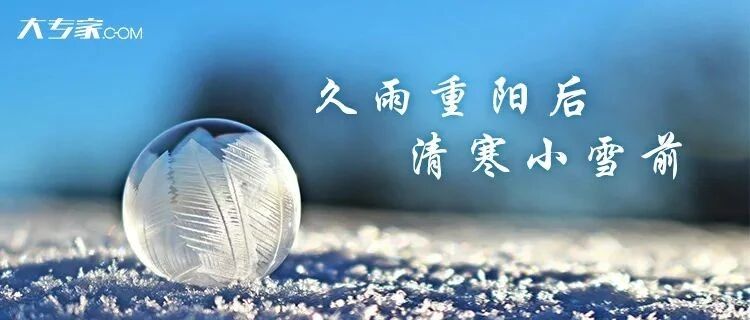 今日小雪丨你的2020年还剩39天