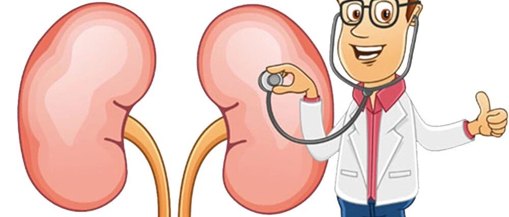 肾结石的疼痛程度不亚于生娃？这可能是真的！