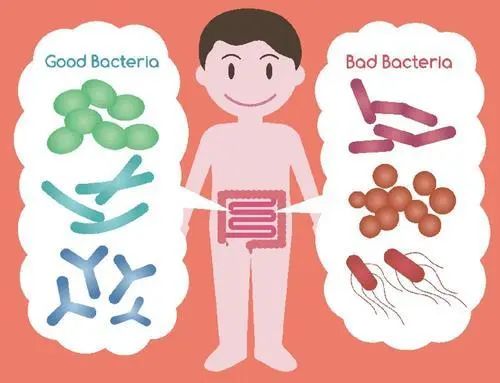 5月29日·世界腸道健康日｜開菲爾助力腸道「菌衡」 健康 第2張