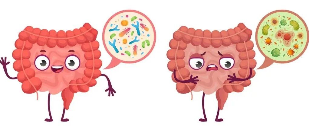 “水土不服”是一种什么体验？原因竟然是它！