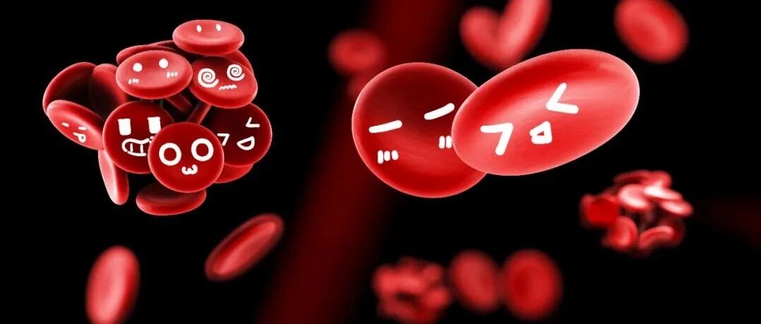 血液中的三种有形物质，原来它快占了一半