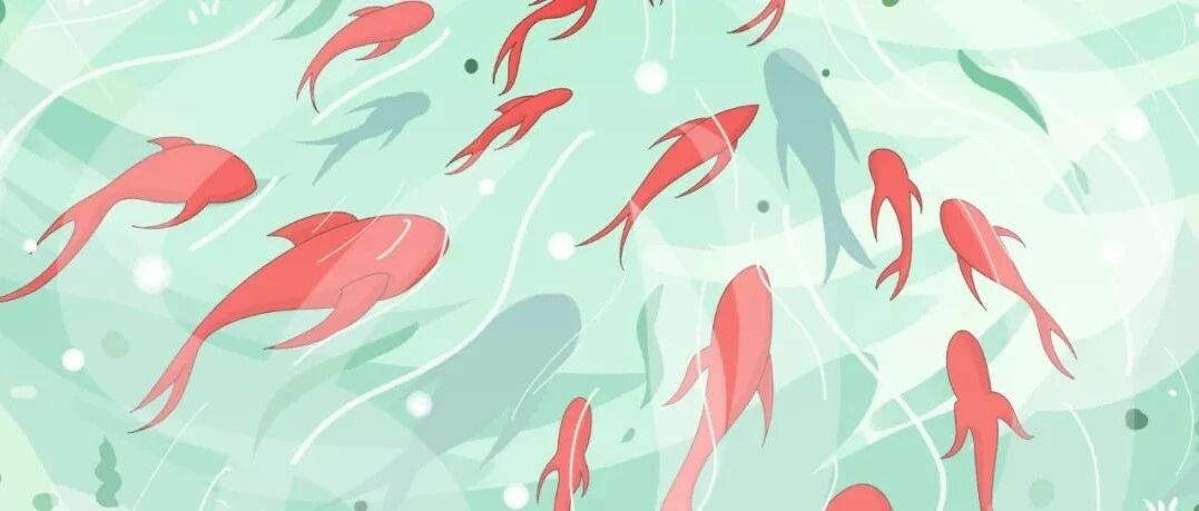 竟然被一条鱼整崩溃了