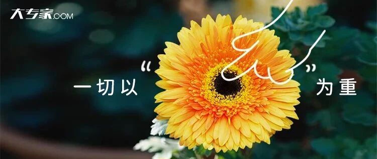 一切以大“菊”为重啊！