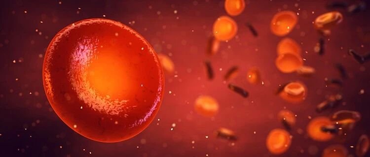 除了白血病，你还知道哪些属于血液病？