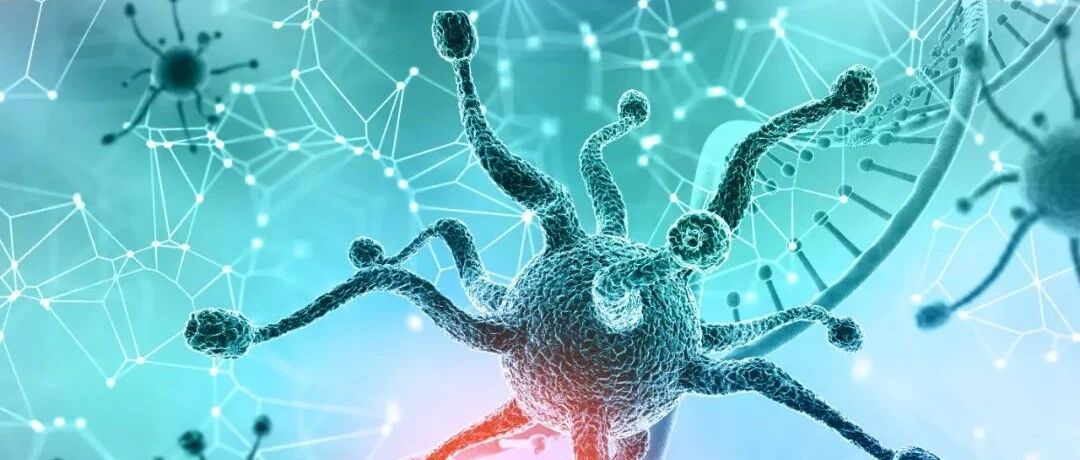 徐建国院士谈传染病 | 8种能引起人致病的冠状病毒，你知多少？！