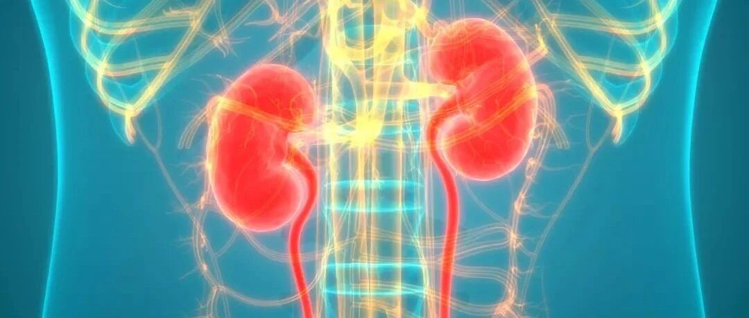 为啥一说肾不好，通常想到的是男性而不是女性