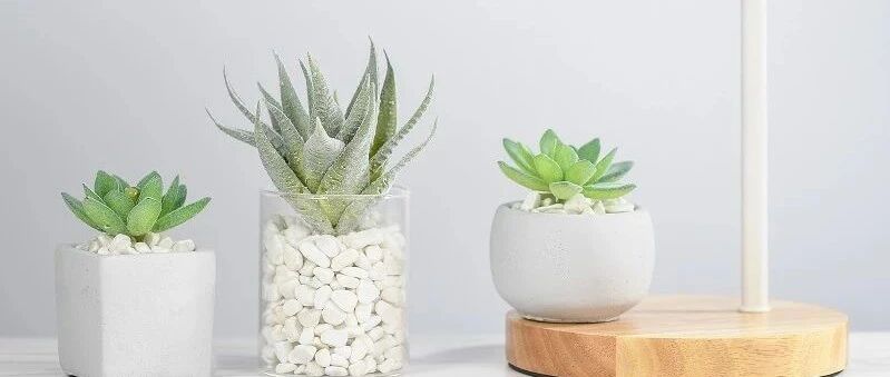 担心孩子近视？你可能需要知道这些